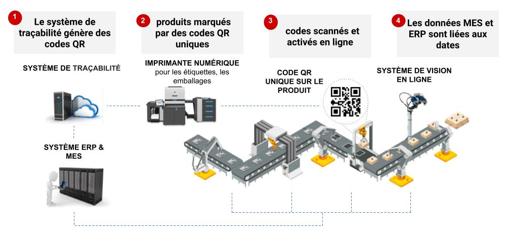 FR SCT technology map translated